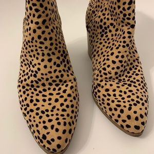 Dolce Vita Leopard booties